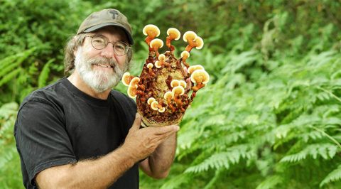 Paul Stamets