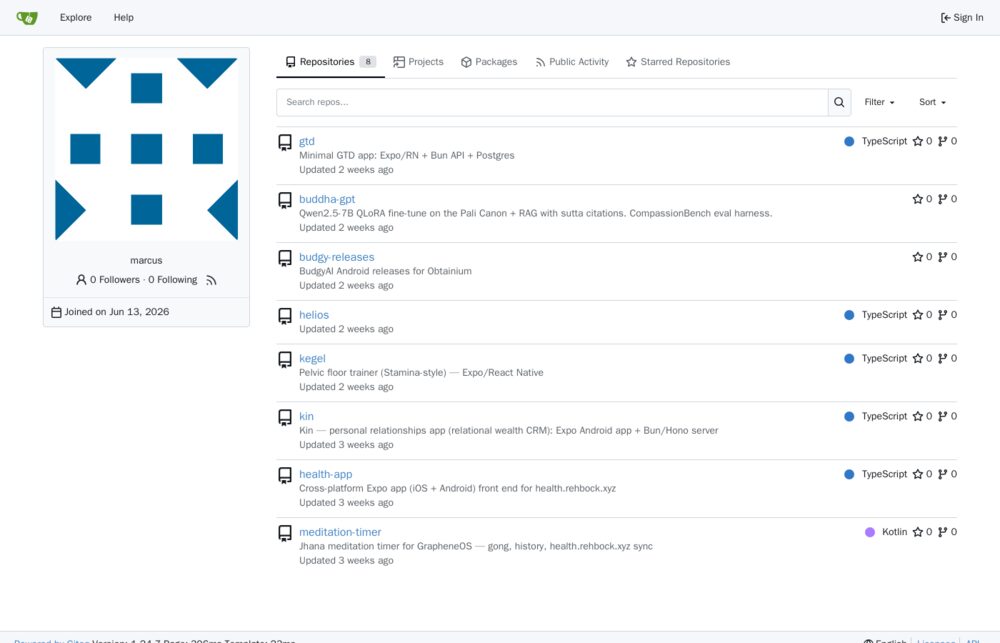 Self-hosted Gitea at git.rehbock.xyz